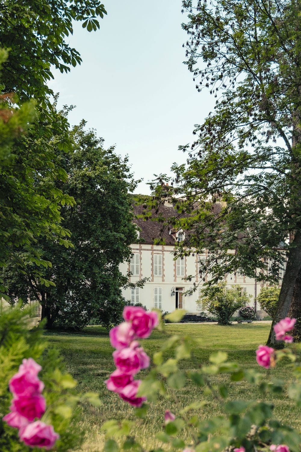 Château de Vindey seen across the lawn through trees and pink roses