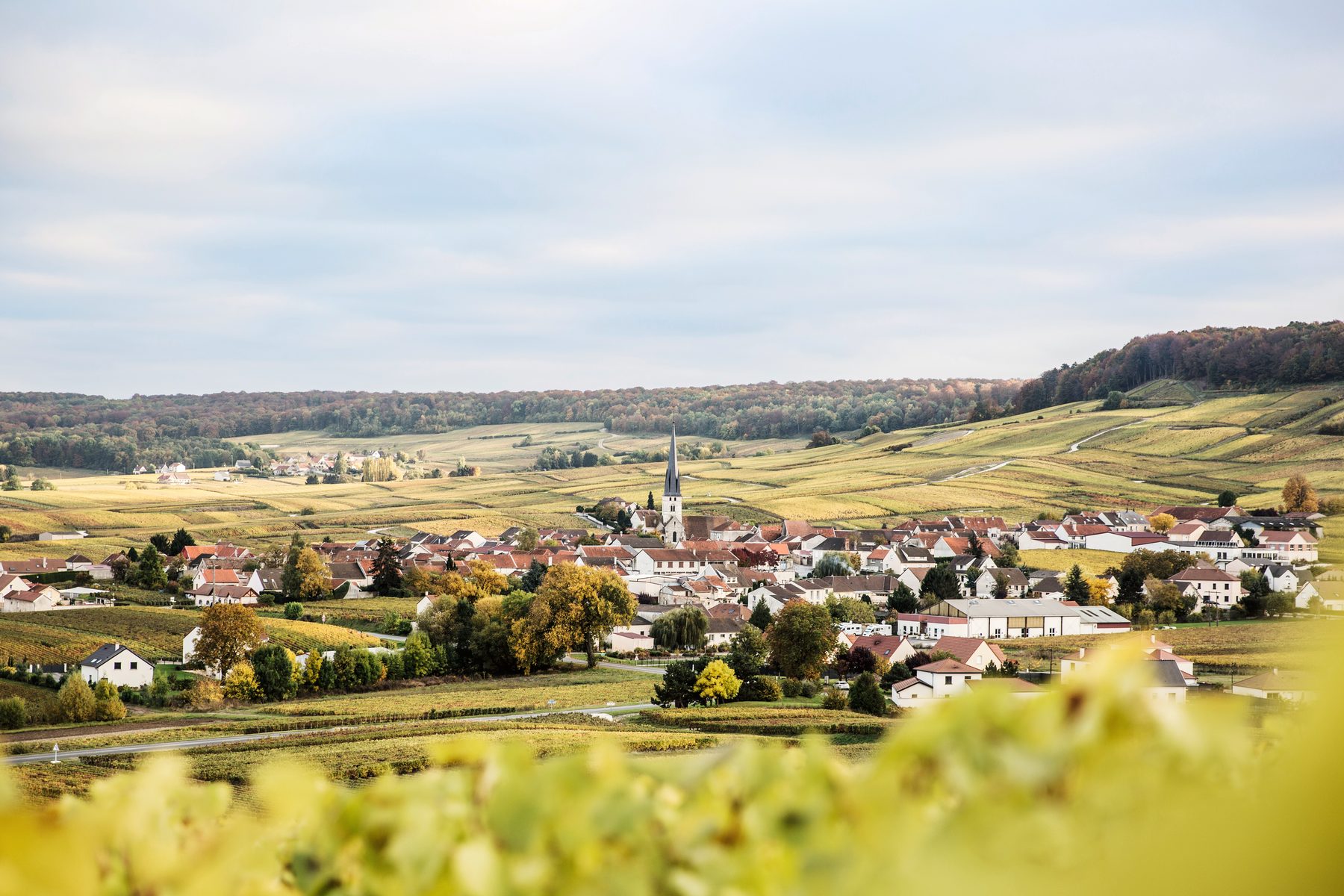 A Champagne village with its church spire among autumn vineyards